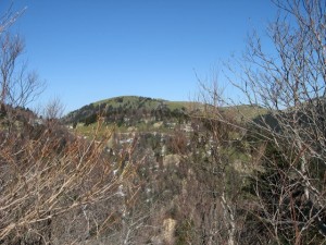 img_7106