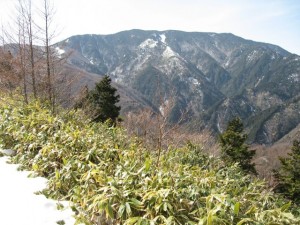 img_7120